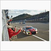 【Eibach】Audi T ...
