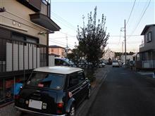 また、でかくなって来た・・・・