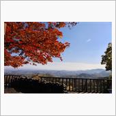 近場の紅葉