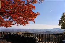 近場の紅葉