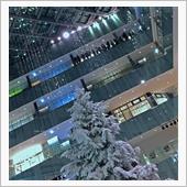 クリスマスツリー