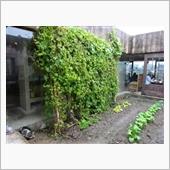 四国グルメ巡礼・・・・・７