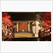 五重塔 伝いて夜空へ 昇り竜