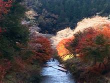 柿ケ入遊歩道