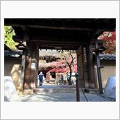 ちょっと紅葉見に行ってくる