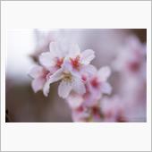 秋景色vol.2　小原村の四 ...