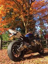 11/23 R256 de 岐阜県横断ツーリング☆