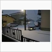 積もっている