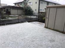 薄っすら雪化粧〜おはです! 薄っすら雪化粧〜おはです!