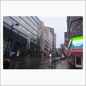 １１月に雪・・・寒すぎます
