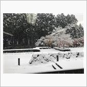 本日、朝雨から雪！