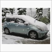 いきなりの雪