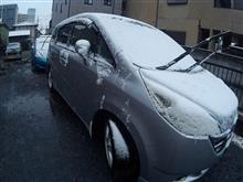 寺泊から雪を持ち帰りました。