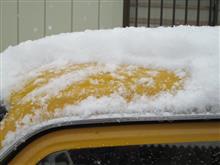 雪ですね