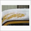 雪ですね
