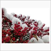 【注意喚起】　雪ですが、、、 ...