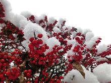 【注意喚起】　雪ですが、、、明日の朝は！！、凍結注意です！！！【追記あり】Ａ＠＠;;;（あせ