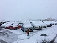 朝から雪！