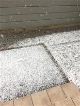 天気予報を信じて