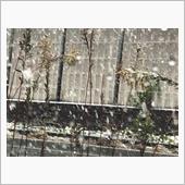 1つ駅を過ぎたら