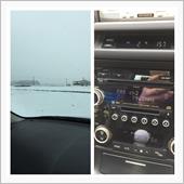 雪や、コンコン・・・