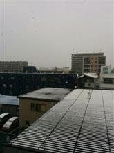 初雪☆彡