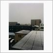初雪☆彡