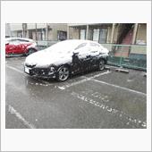 １１月の積雪