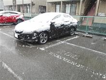 １１月の積雪