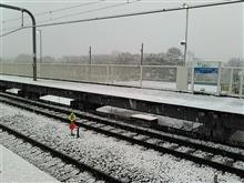 54年ぶりらしい11月の雪