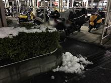相模の國は雪掻きしてました