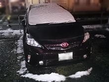 雪が降ったぞ! 雪が降ったぞ!