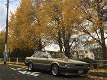 紅葉写真