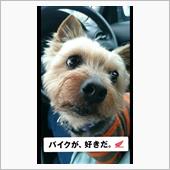 またまた岩手方面にランチドラ ...