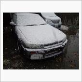 雪でしたね…11/24