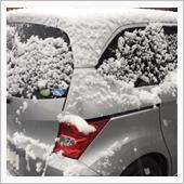 雪、しっかりと降りましたね。 ...