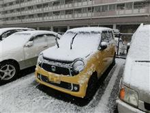 人生初の11月の積雪