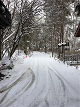 54年ぶりの11月の雪