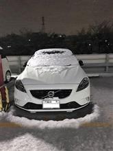 VOLVO　初雪かぶる！