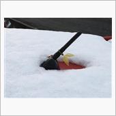 11月の雪