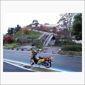 福知山マラソン後記　