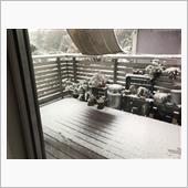 11月の雪