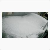 雪のちに再会な1日でした(^ ...