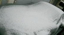 雪のちに再会な1日でした(^^)