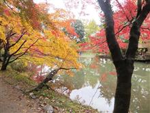 京都の紅葉-1