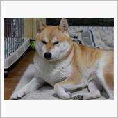 妄執の彼方へ
