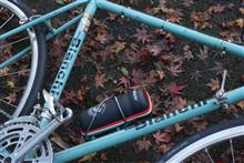 壮大な所用サイクリングと化した、紅葉サイクリング 壮大な所用サイクリングと化した、紅葉サイクリング
