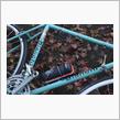 壮大な所用サイクリングと化した、紅葉サイクリング