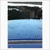 今朝の寒さで