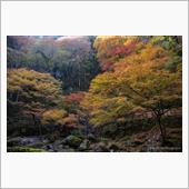 秋景色vol.3　赤目四十八滝